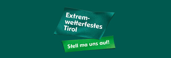 Bild Stell ma uns auf!